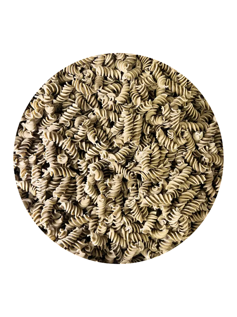 fusilli nature.webp
