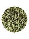 epinard.webp