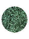 spiruline_edited.webp