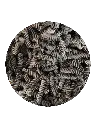 encre de seche.webp