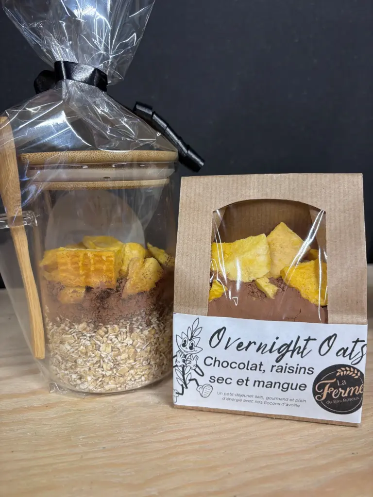 RECHARGE OVERNIGHT OATS CHOCOLAT/MANGUE